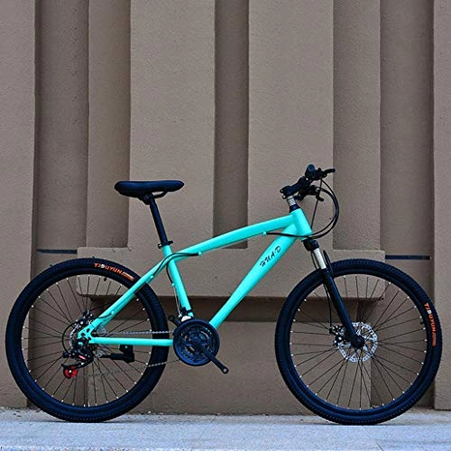 Mountainbike : Leicht, Adult Mountainbike, High-Carbon Stahlrahmen Jugendkursteilnehmer Straßen-Fahrrad, Doppelscheibenbremse Strand Schnee Bikes, 26-Zoll-Räder Inventarfreigabe (Color : C, Size : 21 Speed)