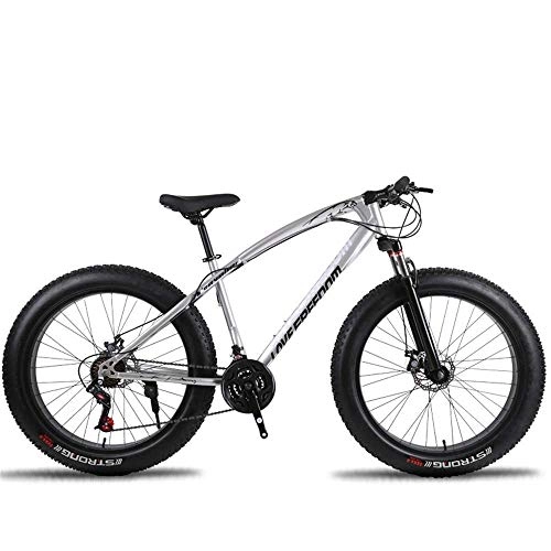 Mountainbike : LHQ-HQ Outdoor-Sport Fat Bike Cross Country Mountainbike 26-Zoll-24-Gang Strand Schneeberg 4.0 große Reifen for Erwachsene Außenreit Outdoor-Sport Mountainbike (Color : Silver)