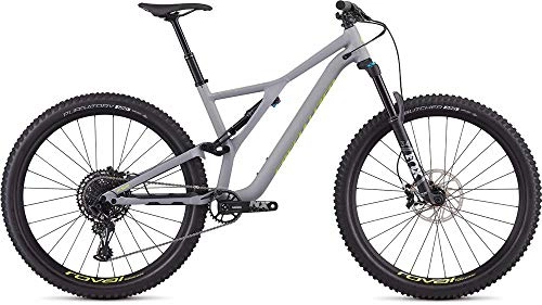 Mountainbike : SPECIALIZED Men's Stumpjumper Comp Alloy 29 2019, Rahmengre:L, Farbe:Satin Cool Grey / Team Yellow