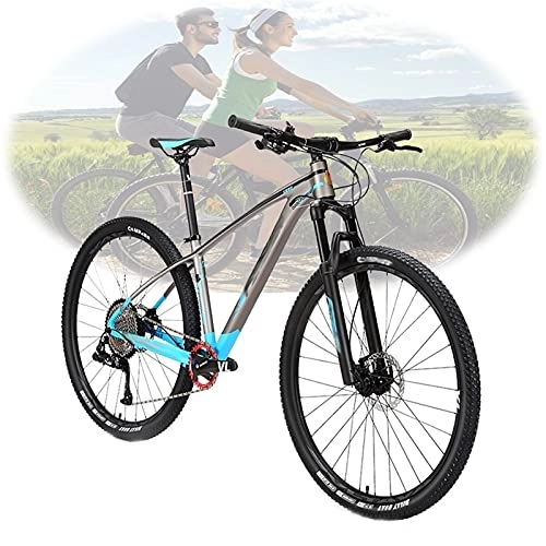 Mountainbike : Tbagem-Yjr 29"MTB Mountainbike 13-Gang-Offroad-Fahrräder Rahmenrahmen Aus Aluminiumlegierung Speichenrad Blau