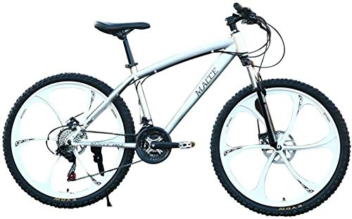Mountainbike : WSJYP 26-Zoll-Mountainbike für Erwachsene, Mountainbike aus Kohlenstoffstahl, MTB-Scheibenbremse mit 21-Gang-Vollfederung, Silver
