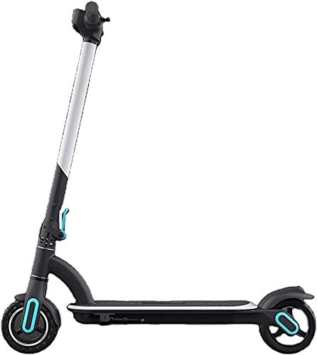Electric Scooter : dh-2 Electric Scooter for Adult, Lightweight Easy-Carrying City Kick Scooter, with 250W Motor 36V 5Ahm Battery / Max Dist