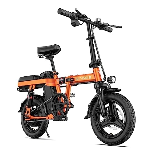 Vélo de cross électrique 250w pour enfant de 12 à 14 ans avec pneu arrière  Fat Bike