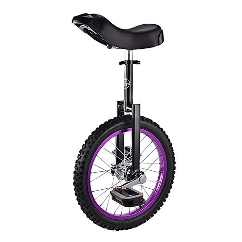 Monocycles : AHAI YU Monocycle pour Enfants Métrique de 16 Pouces pour Le débutant / Homme Adolescent / étudiant, équilibre extérieur Cyclisme avec siège réglable, adapté à Hauteur 120-155cm (Color : Purple)