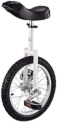 Monocycles : HYQW 16 Pouce Roue Monocycle tanche Butyle Pneu Roue Vlo Sports De Plein Air Fitness Exercice Sant, White