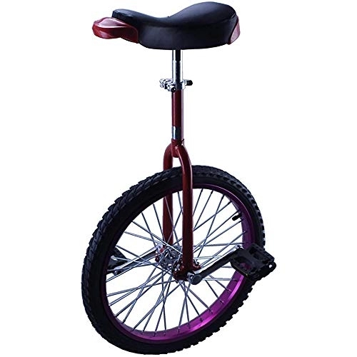 Monocycles : L&WB Monocycle Violet Monocycle pour Enfants (Âgés De 9 À 17 Ans), 16 / 18 Pouces De Vélo De Vélo De Roue Adolescent, Adultes / 20 / 24 Pouces Balance Cycling, Remplacement des Spas, 24inch