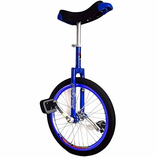 Monocycles : LJHBC Monocycle vélo 20 / 24" Monocycle d'entraînement de Roue Réglable en Hauteur Pneu de Montagne antidérapant Exercice de vélo d'équilibre, pour Débutants / Professionnels / Enfants / ADU(Size:24in)
