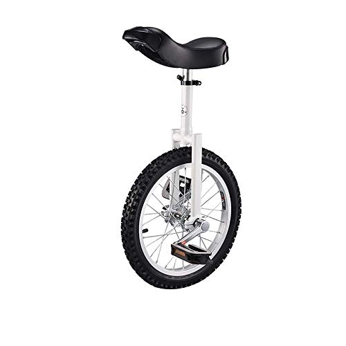 Monocycles : LNDDP Monocycles pour Adolescents Monocycle Roue 16 Pouces avec Jante en Alliage