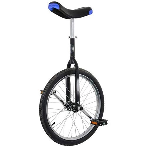 Monocycles : LPsweet Formateur Monocycle, 20" Skidproof Butyl Pneus Mountain Équilibre Cyclisme Exercice Argent Enfants Adultes Monocycle Sports De Plein Air Voiture Fitness Exercice
