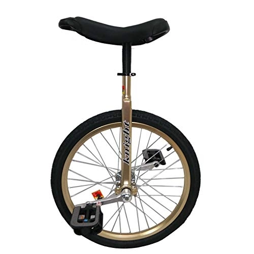 Monocycles : Monocycle 20" / 24" Monocycle d'or pour Big Kid / Ados / Adultes / Femelle Mâle, pour Le Fitness Exercice Débutant, Roue Antidérapante Vélo de Jante en Alliage (Size : 20inch)