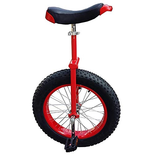 Monocycles : Monocycle à Roues de 20 Pouces pour Grands Enfants / Adolescents, avec Support et Pneu de Montagne Extra-épais, vélo d'équilibre pour Adultes de 24 Pouces pour randonnée en Plein air (Couleur