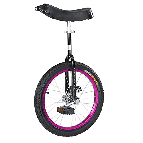 Monocycles : Roue Monocycle Montagne Pneu Cyclisme Auto-équilibrage Exercice Cyclisme Sports de Plein air Fitness Exercice (Couleur : Bleu, Taille : 18 Pouces) Durable (Violet 24 Pouces)