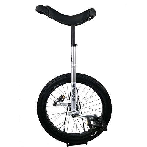Monocycles : ywewsq 20", monocycle d'entraînement pour Enfants / Adultes réglable en Hauteur, vélo d'exercice de vélo d'exercice d'équilibre de pneus de Montagne en butyle antidérapant (Couleur : Argent, Taille
