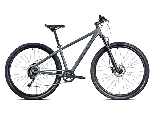 Vélos de montagnes : Biocycle Elixir H - Velo Tout Terrain | Fabriqué en Aluminium - Velo VTT à 9 Vitesses | Freins à Disque Hydrauliques | Roue 29'' (Gris, M)