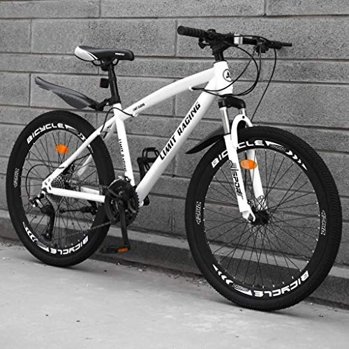Vélos de montagnes : Dsrgwe VTT, Mountain Bike / Vélos, Cadre en Acier au Carbone, Suspension Avant et Double Disque de Frein, Roues 26 Pouces (Color : A, Size : 21-Speed)