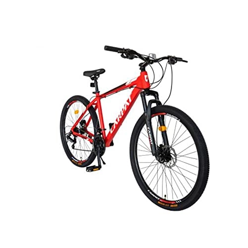 Vélos de montagnes : GYP VTT Adulte Roues 29" Homme / Femme 18.5" Cadre Aluminium 3 Vitesses de Réglage avec Suspension à Ressort avec Protection Contre Les Impacts Freins à Disque Hydrauliques (Color : Rouge)