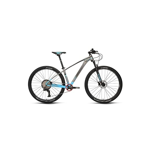 Vélos de montagnes : HESND zxc Vélos pour adultes VTT à grande roue de course à huile Frein à disque Vitesse variable Vélo tout-terrain pour hommes et femmes (couleur : gris, taille : petit)