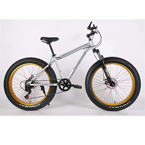 Vélos de montagnes : Large Tire Mountain Bike, 26 Pouces en Alliage D'aluminium De Vélos Écarquilla Pneus 4.0 Vitesse VTT (Color : Silver)