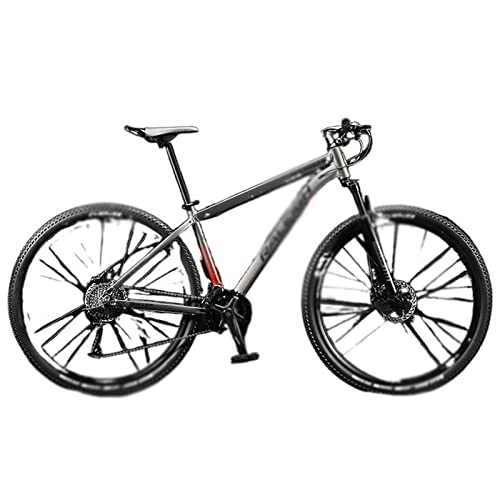 Vélos de montagnes : LIANAI zxc Bikes 29 pouces amortisseur de chocs VTT vélo en alliage d'aluminium vélo femelle et mâle 33 vitesses variables vélo de route (couleur : gris, taille : 29 pouces 27 vitesses)
