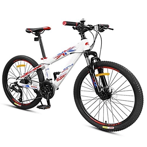 Vélos de montagnes : LNDDP Vélos de Montagne pour garçons, vélos de Montagne avec Double Disque de Frein, Cadre en Aluminium à Suspension Avant