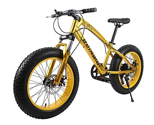 Vélos de montagnes : XCBY VéLo De Montagne, Fat Bike - 26 Pouces, Freins à Double Disque, Pneus Larges, SièGes RéGlables Gold-24Speed