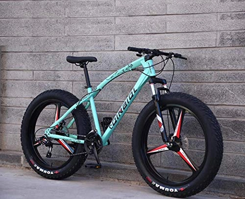 Vélos de montagnes : ZHTY Vélos de Montagne, 24 Pouces Fat Tire Hardtail Mountain Bike, Dual Suspension Frame and Suspension Fork All Terrain Mountain Bike, Men's and Women Adult