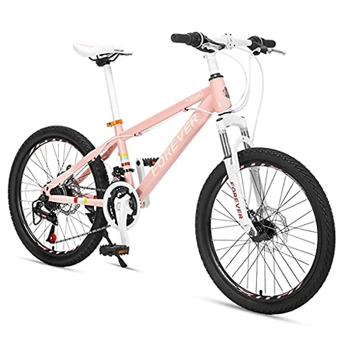 Vélos de montagnes : ZXQZ Vélos de Cross-Country, Vélo de Sport À Vitesse Variable de 22 Pouces pour Filles, Freins À Disque Mécaniques Avant et Arrière, pour Se Rendre À L'école (Color : Pink)