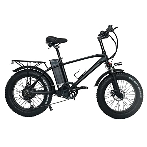 Vélos électriques : 26 inch Thick Tyre Electric Bike Amovible 48V / 15A Battery, Adult Mountain Snow Beach Electric Bike with Pedals for Jungle Trail Snow Beach (Color : Black, Size : 48V / 15A)