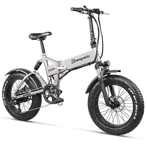 Vélos électriques : CHANGXIE Vélo électrique Ebike 500W vélo électrique vélo de Plage Cruiser vélo électrique 48v12.8ah Batterie au Lithium VTT électrique
