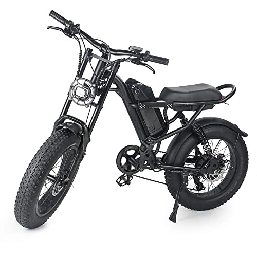 Vélos électriques : FEIYBIUKE Vélo électrique adulte, vélo électrique de taille 20, 48 V 15, 6 Ah amovible Lithium Battery, Electric Mountain Bike Snow Electric Bike