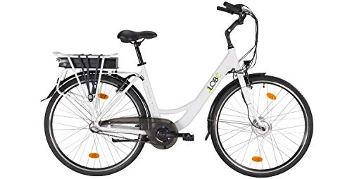 Vélos électriques : llobe E-Bike Holland Roue Rose ndaal Gand, 283G pour homme, Porte-bagages 71, 12cm (28pouces)