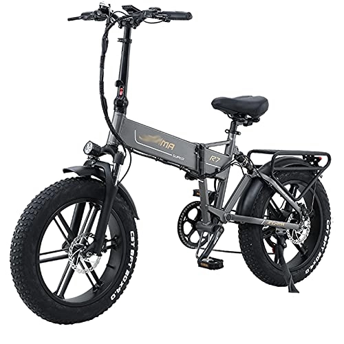 Vélos électriques : R7 Adultes Vélo Électrique 800W 4.0 Gros Pneu Montagne Vélo électrique 48V / 12.8Ah Amovible Lithium Batterie Électrique Bicyclette 7 La vitesse Hommes Femmes Vélo électrique ( Couleur : 2 Batteries )