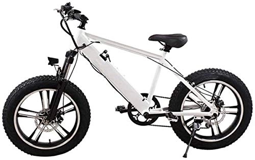 Vélos électriques : RDJM VTT Electrique, Adultes Montagne Vélo électrique, Moteur 250W 20 Pouces 4.0 Pneu Large motoneige Amovible Batterie Double Freins à Disque Urban Commuter E-Bike Unisexe (Color : White)