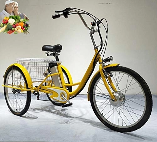 Vélos électriques : Tricycle vélo électrique Adulte Batterie au Lithium 3 Roues pour Les Personnes âgées avec éclairage LED dans Le Panier arrière Tricycle à pédale Humaine à Trois Roues assistée Parents