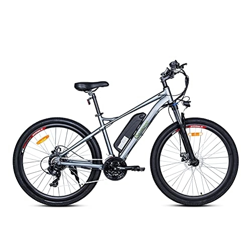 Vélos électriques : Vélo électrique Saxsen R10 - Cadre Noir - Batterie au Lithium 36 V 8 Ah - Puissance : 250 W - 25 km / h - 21 Vitesses - Certifié StVo - Argent
