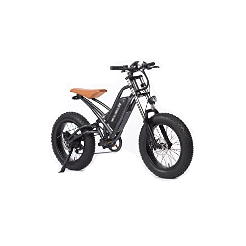 Vélos électriques : Wonzone ddzxc Vélo électrique vélo électrique neige plage pneu batterie lithium gros pneu plage vitesse variable vélo électrique motoneige