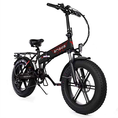 Vélos électriques : YIN QM Pas de taxe UE expédition vélo électrique 20 * 4.0 Pouces 750W Moteur Puissant vélo électrique 48V12.8A Montagne Gros Pneu vélo Neige ebike, Noir, 2pcs Battery