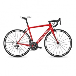 Focus Bici da strada Focus Izalco Race 105 RED taglia 51 S