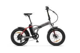 Argento Bici elettriches Argento AR-BI-210004, E-Bike Unisex Adulto, 250W