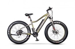 Argento Bici Argento Elephant, Bicicletta Elettrica, FAT Bike a pedalata assistita, Assicurazione AXA "Tutela Famiglia" inclusa, Route FAT Kenda 26'', Telaio 46cm, Unisex – Adulto, Giallo