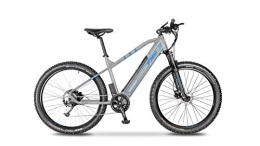 Argento Bici Argento Performance+, Bicicletta elettrica Mountainbike Unisex Adulto, Blu, taglia unica