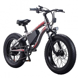 AINY Bici elettriches Bici di Montagna Elettrica 36V10ah 250W Adulti 26Inch Complete Biciclette Forcella, 21 velocità Doppia Ammortizzatore Pieghevole E-Bike, Nero