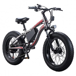 LYGID Bici E-Bike 250W 36V 8Ah Batteria Litio Assistenza Bici 26 Pollici Cambio Shimano 7 Marce Freni Idraulici Neve Mountain Bike Bicicletta Lega di Alluminio