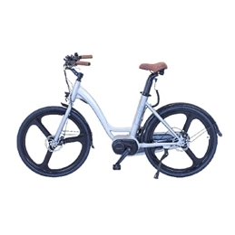 LEXGO Bici LEXGO LEXC26 Bicicletta da Trekking Elettrica 250W Motore Brushless a Pedalata Assistita per Unisex Adulto, Batteria 36V, Velocità 25 Km / h, Portata Max 45 Km, Ruote da 26", Freni a Doppio Disco