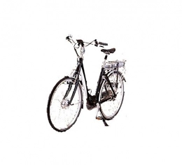 White Bear eBikes Bici Orso bianco Discovery Ebike