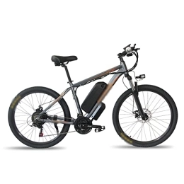 WASEK Bici WASEK Veicoli elettrici, Biciclette servoassistite, Biciclette elettriche a 21 velocità, Veicoli elettrici portatili, Veicoli elettrici scooter (gray 48V13A)