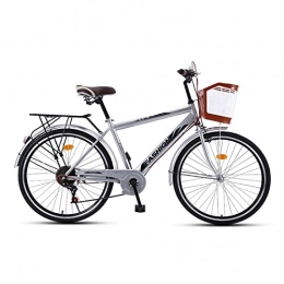 QILIYING Cruiser Bike Road Bike 26 pollici 6 velocità cambio portatile, pendolari retrò viaggio studente adulto bicicletta uomini e donne (colore : argento titanio formato)