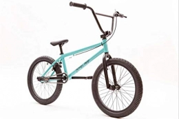 SWORDlimit Bici SWORDlimit Bici BMX da 20 Pollici Ciclisti Principianti e avanzati, Telaio e Forcella in Acciaio al Carbonio, Ingranaggi BMX 25X9t, con Freni a U e Ruote da 20 Pollici