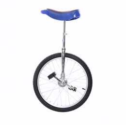 GASLIKE Bici GASLIKE Monociclo competitivo 16 20 Ruota da 24 Pollici per Bambini e Adulti, Ruota in Alluminio Spesso, Argento, 20 inch