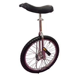 HWBB Bici HWBB Monociclo Monociclo con Ruote da 20 Pollici per Principianti, Monocicli con Pneumatici da Montagna Antiscivolo e Portapacchi, per Persone Alte 160 Cm - 175 Cm